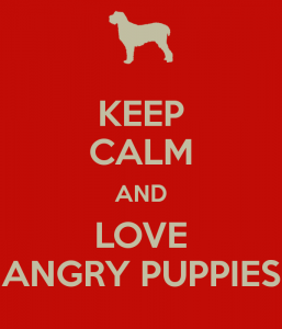 keep-calm-and-love-angry-puppies